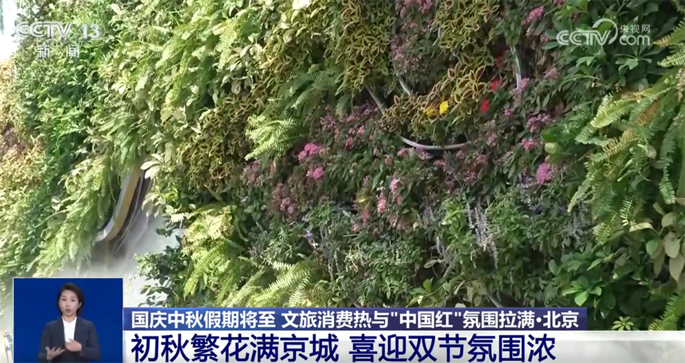 新业态新场景不断涌现 文旅消费“热”与最美“中国红”拉满节日氛围感