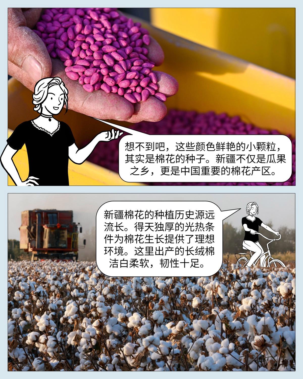 中国印记|微缩摄影看新疆:产业篇