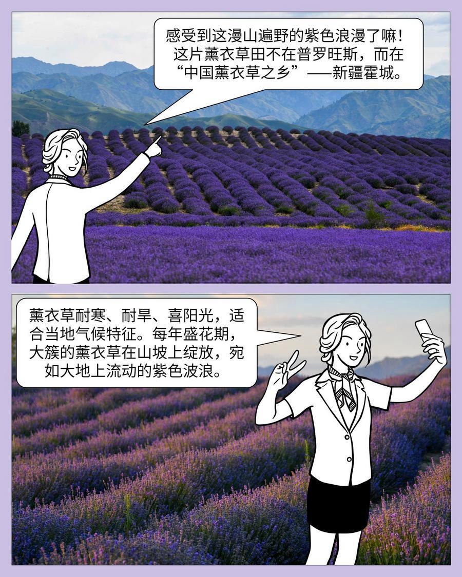 中国印记|微缩摄影看新疆:产业篇