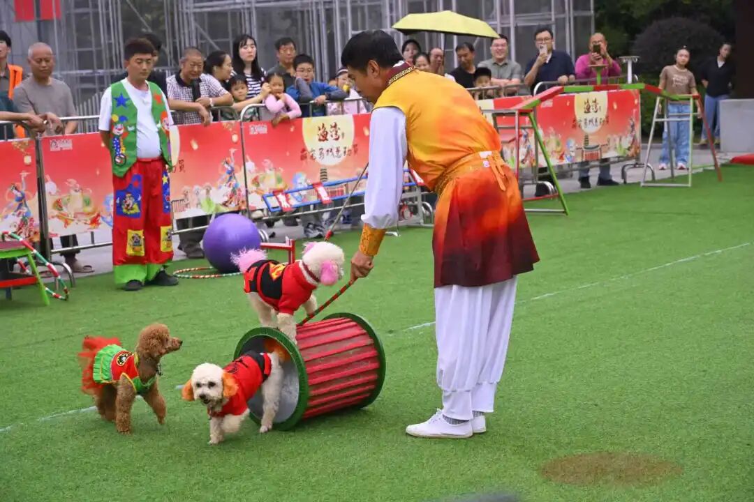 全城撒欢！火力全开！