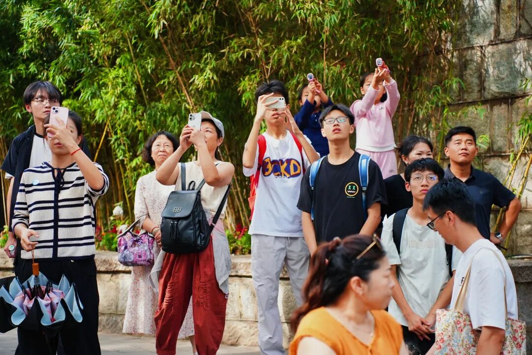 全城撒欢！火力全开！