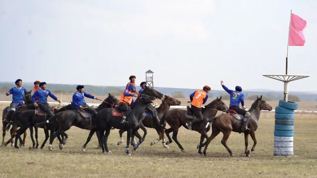 以马为媒 赛出民族团结情——2025’和美乡村·伊犁马性能测试系列赛（昭苏站）圆满收官