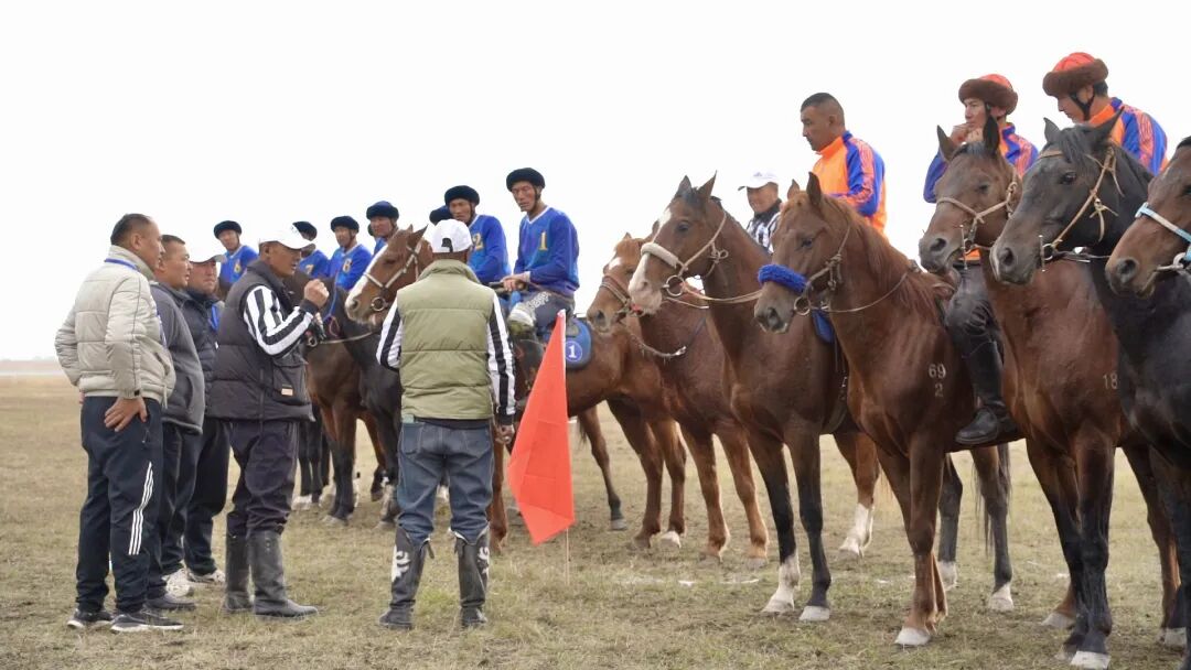 以马为媒 赛出民族团结情——2025’和美乡村·伊犁马性能测试系列赛（昭苏站）圆满收官