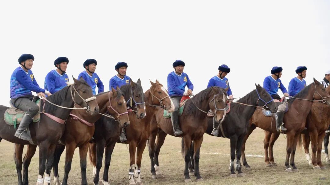 以马为媒 赛出民族团结情——2025’和美乡村·伊犁马性能测试系列赛（昭苏站）圆满收官