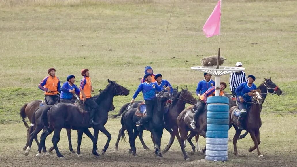 以马为媒 赛出民族团结情——2025’和美乡村·伊犁马性能测试系列赛（昭苏站）圆满收官