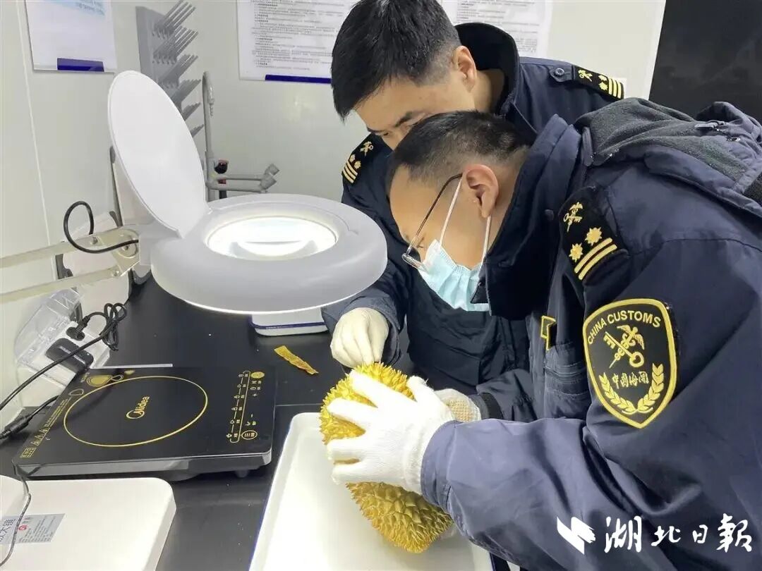 暴增138%！鄂州花湖国际机场释放超级运力链动全球