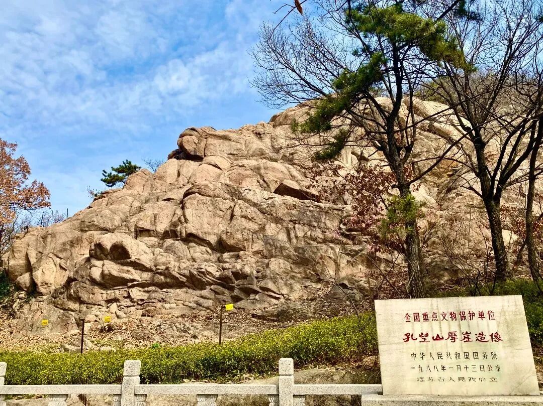 连云港“孔望山摩崖造像·古流苏”入选第一批“国保单位·古树名木”协同保护名录