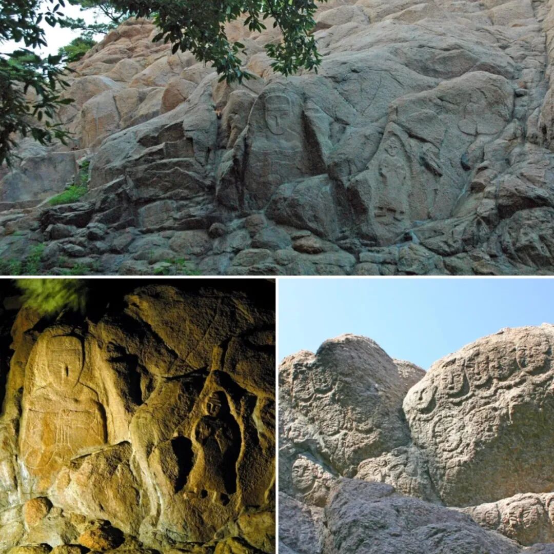 连云港“孔望山摩崖造像·古流苏”入选第一批“国保单位·古树名木”协同保护名录