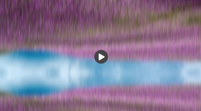 10月11日 一场跨越山海的惊喜之约 等待大家赴会