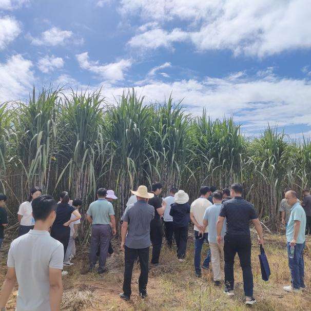 南宁师大：培训“科技火种”助力乡村振兴