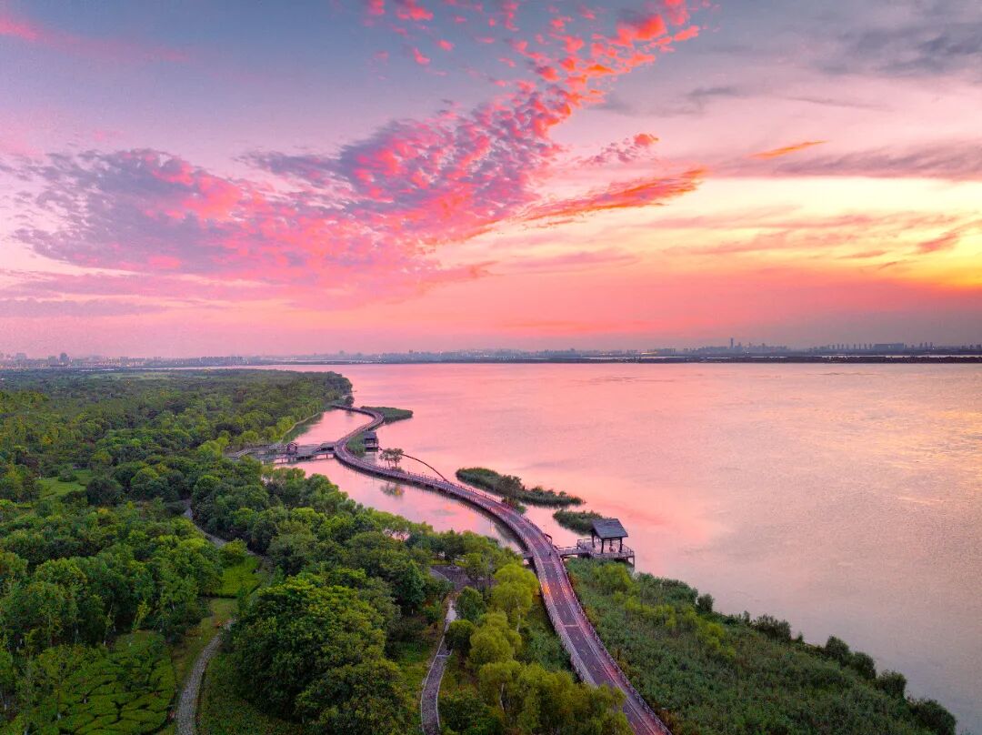 “驿”路生花，园区运动休闲公共服务持续升级！