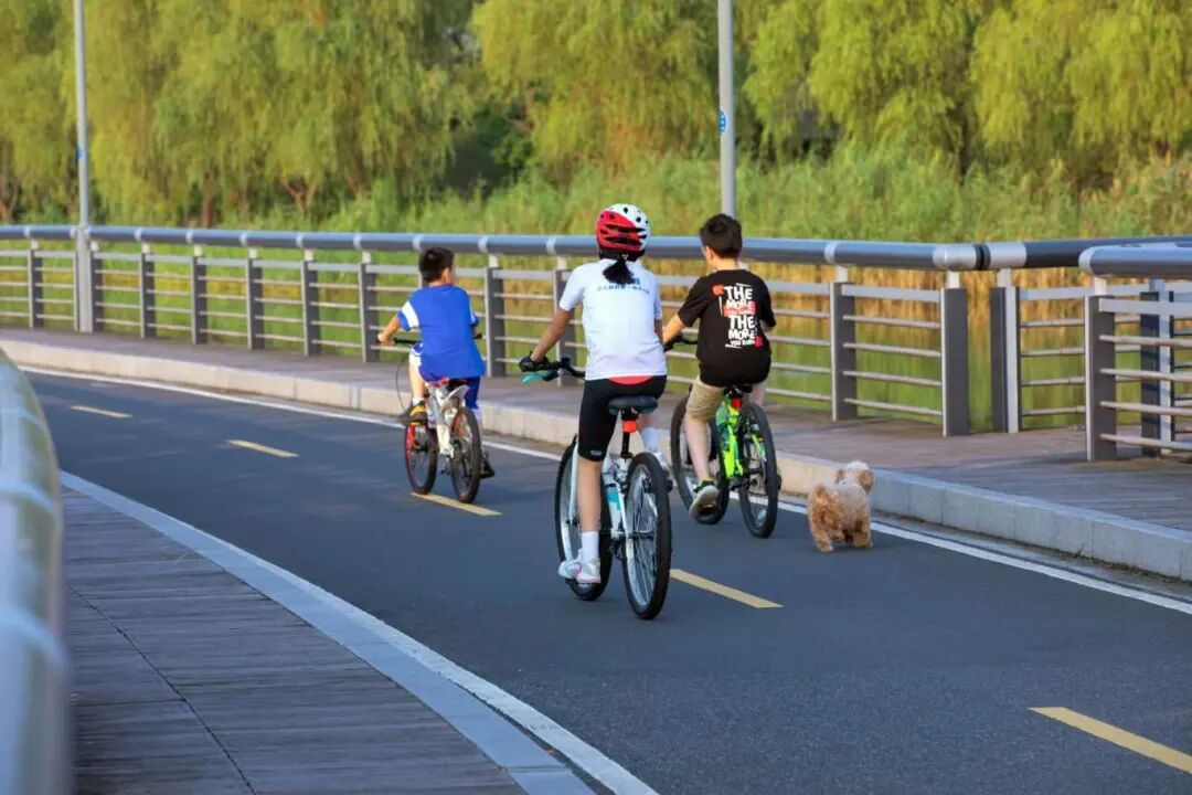 “驿”路生花，园区运动休闲公共服务持续升级！