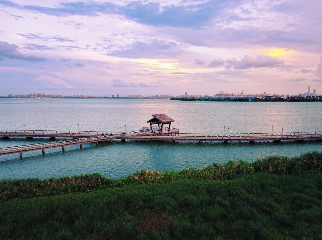 “驿”路生花，园区运动休闲公共服务持续升级！