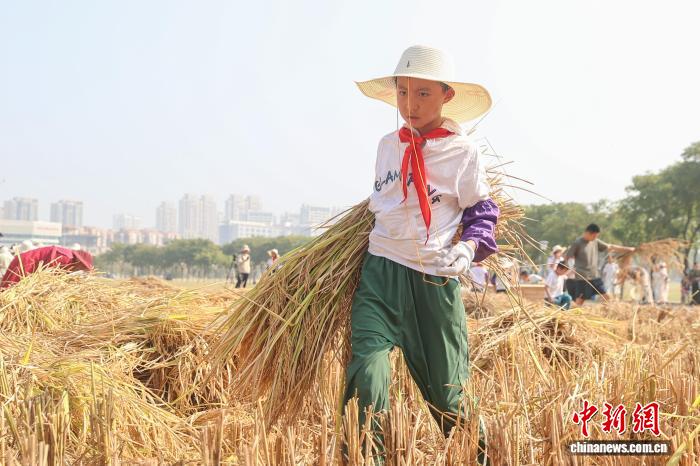 江西南昌:青少年走进农田 体验秋收乐趣