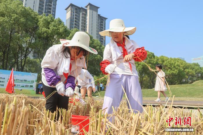 江西南昌:青少年走进农田 体验秋收乐趣