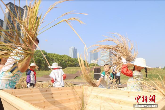 江西南昌:青少年走进农田 体验秋收乐趣