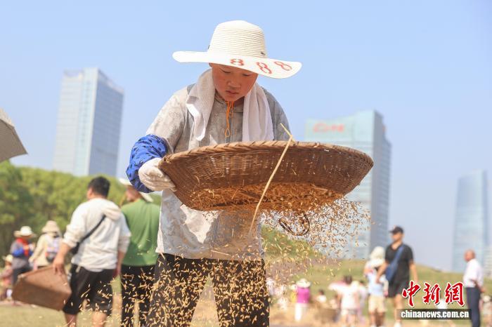 江西南昌:青少年走进农田 体验秋收乐趣