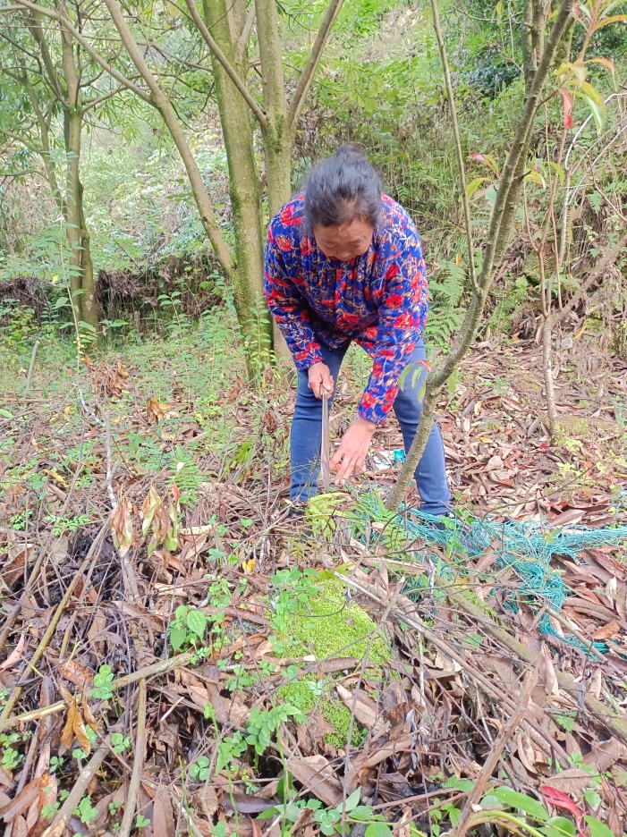 护“绿”前行！中国人寿重庆市分公司护航绿色生态与产业发展