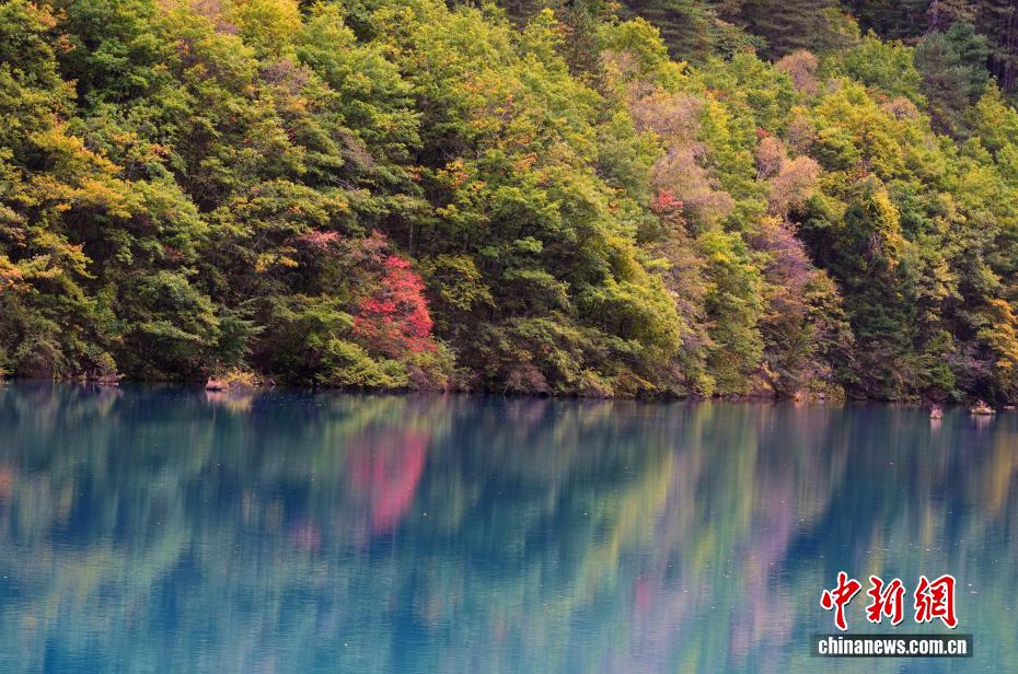 九寨沟秋景如画引游人 九寨沟秋景如画引游人