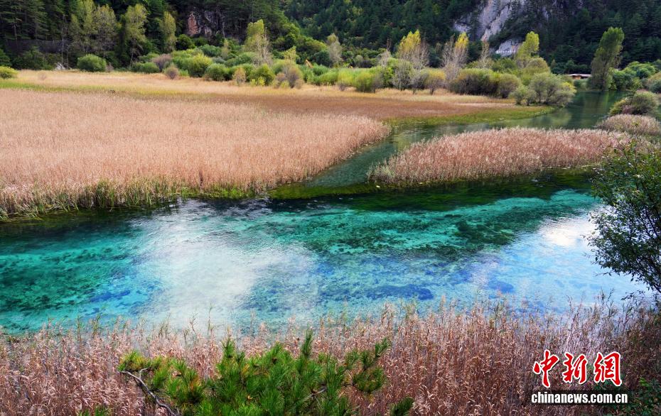 九寨沟秋景如画引游人 九寨沟秋景如画引游人