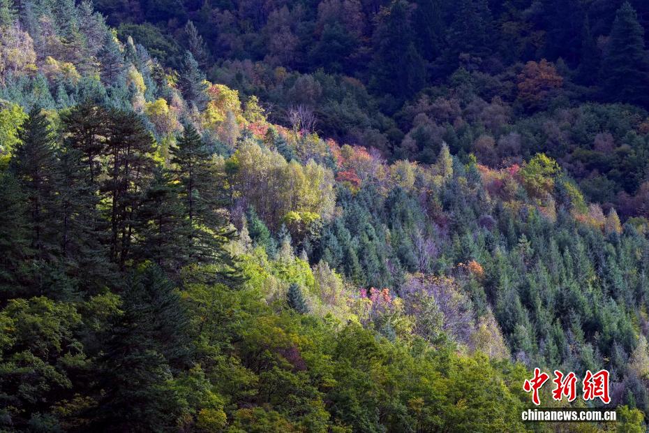 九寨沟秋景如画引游人 九寨沟秋景如画引游人