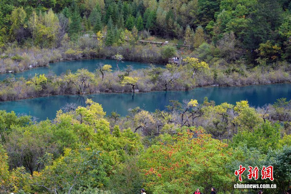九寨沟秋景如画引游人