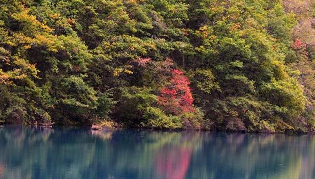 九寨沟秋景如画引游人 九寨沟秋景如画引游人