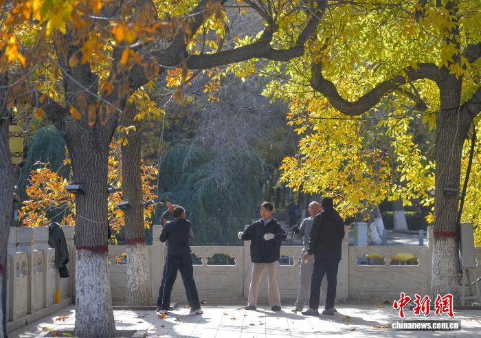 乌鲁木齐各大公园秋意浓