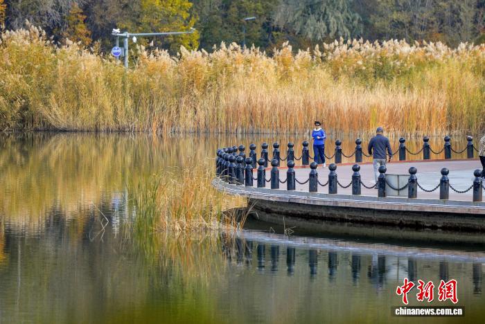 乌鲁木齐各大公园秋意浓