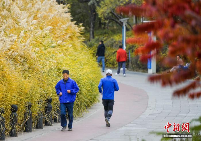 乌鲁木齐各大公园秋意浓