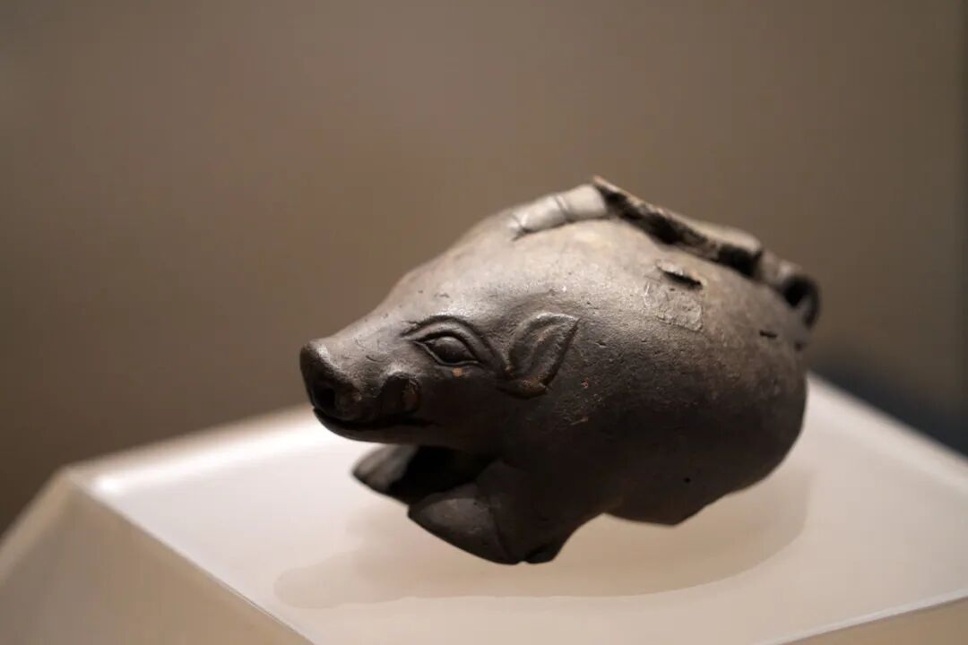 西辽河印记 | 远古之谜 文明初曦