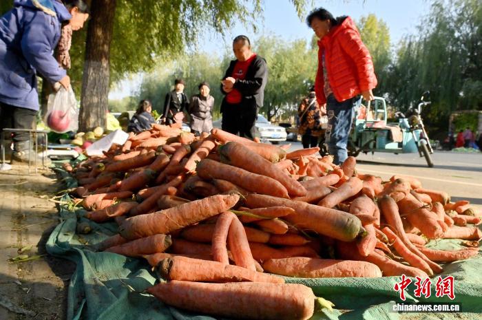 吉林长春：市民开启“囤秋菜”模式