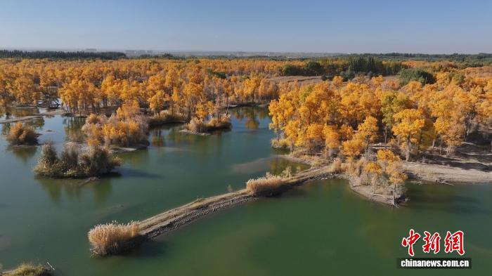 新疆民丰县：“追着胡杨游和田”金秋胡杨季启幕