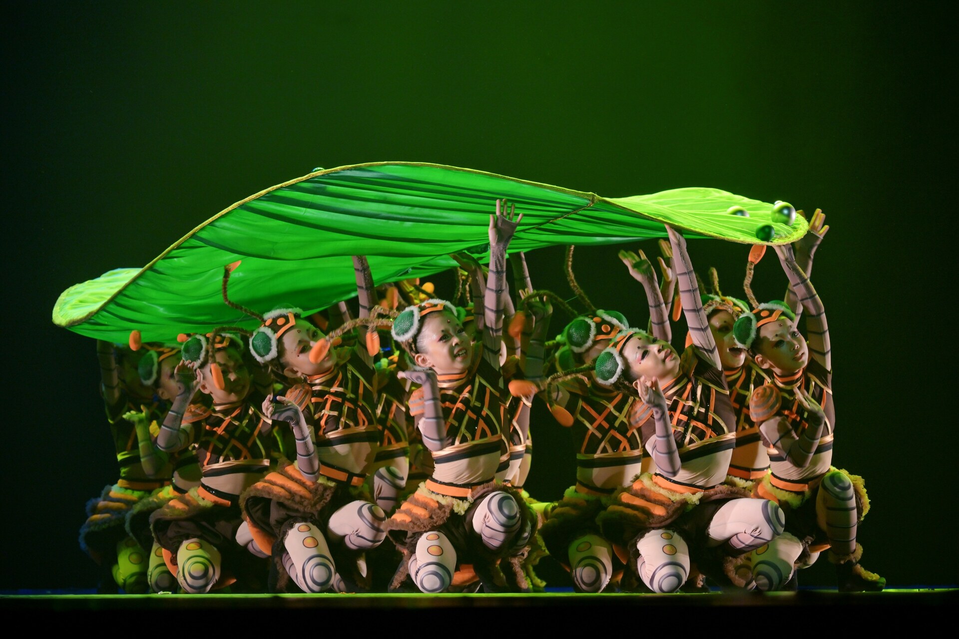 十四艺节 | 第二十届群星奖舞蹈终评燃动重庆