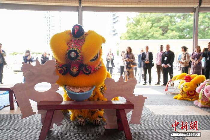 【东盟专线】广西柳州“小狮子”出圈东盟:少年舞“活”非遗