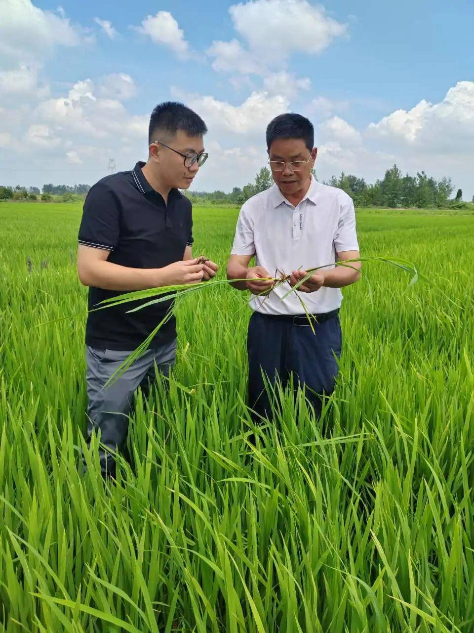 湖北有位“三农”红娘，9年促成10万户！