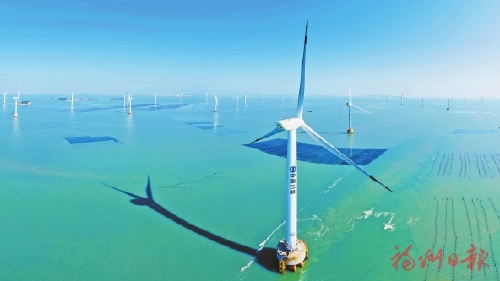 绿染榕城万象新