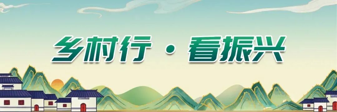 东乡:设施农业托起群众稳稳的幸福