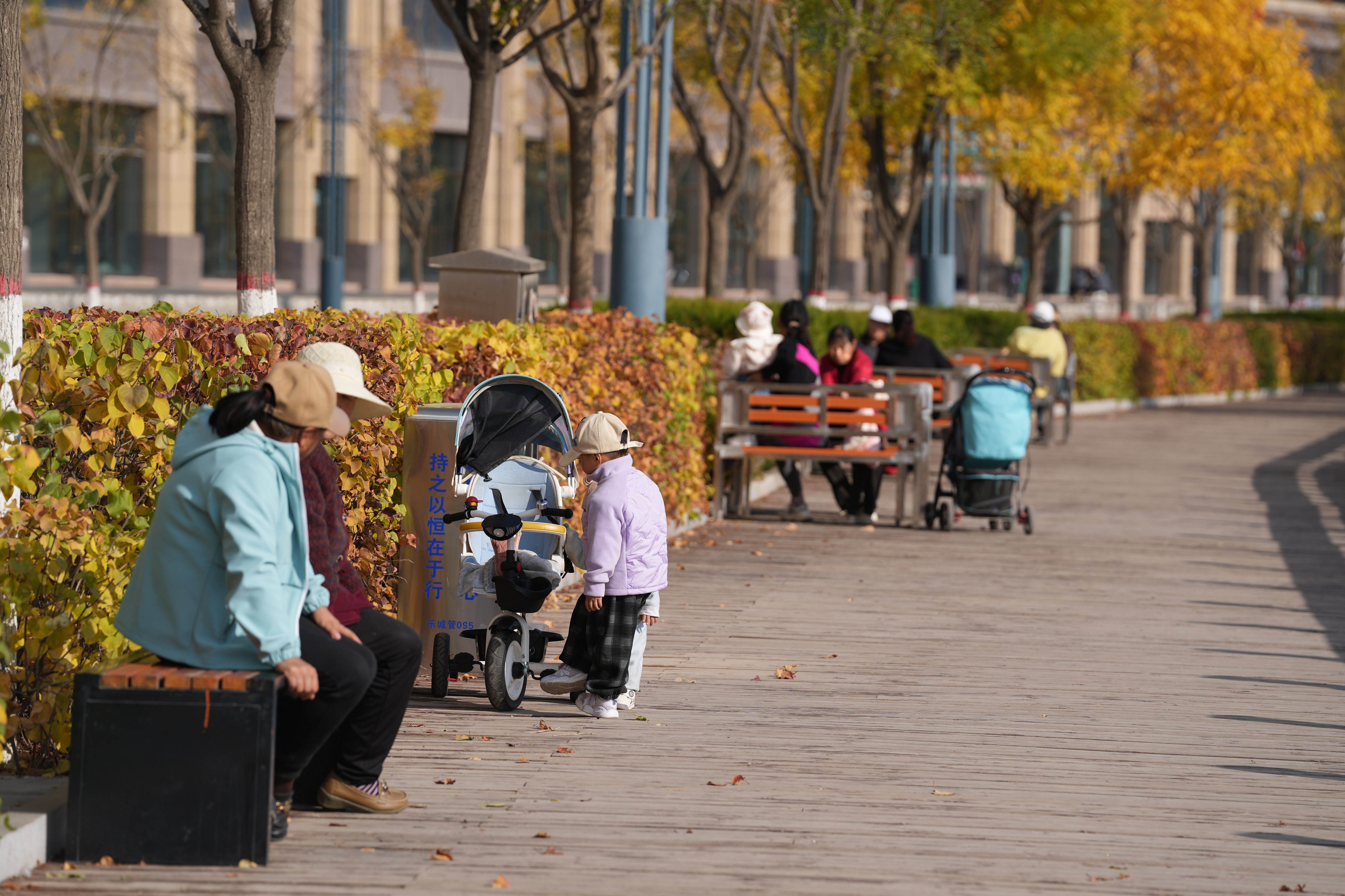青海乐都：口袋公园“缀”城乡 金色民生幸福节节高