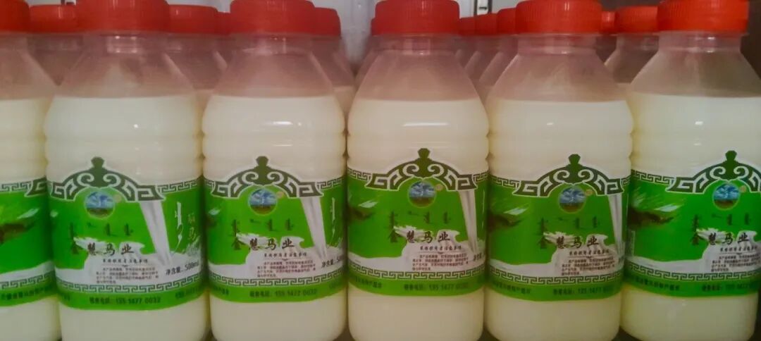 鄂托克旗:以马为媒,让草原特色产业“跑”向新未来 鄂托克旗:以马为媒,让草原特色产业“跑”向新未来