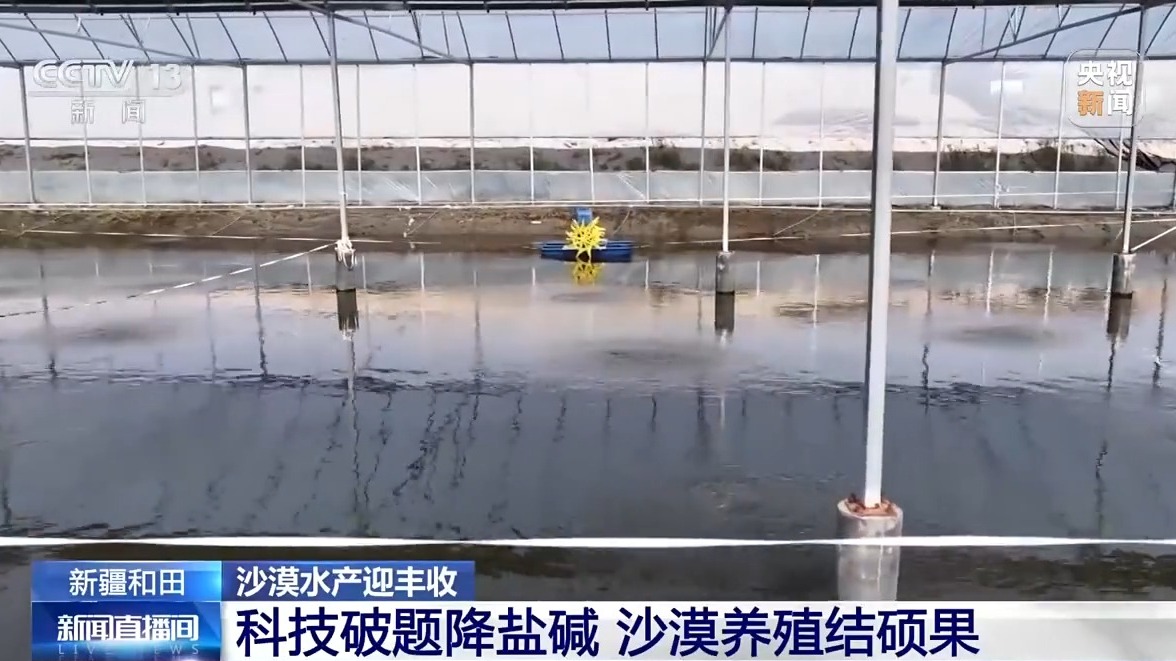 沙漠边缘养螃蟹 新疆如何做到“海鲜”大丰收?