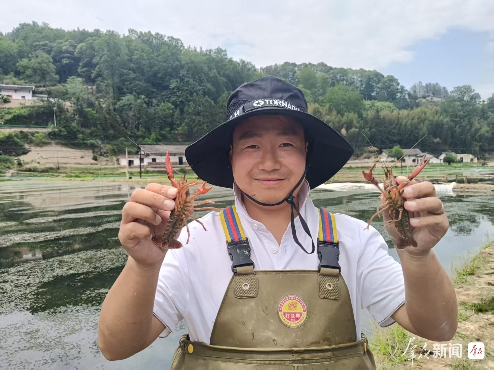 “水稻+”绘就乡村振兴新画卷 “水稻+”绘就乡村振兴新画卷