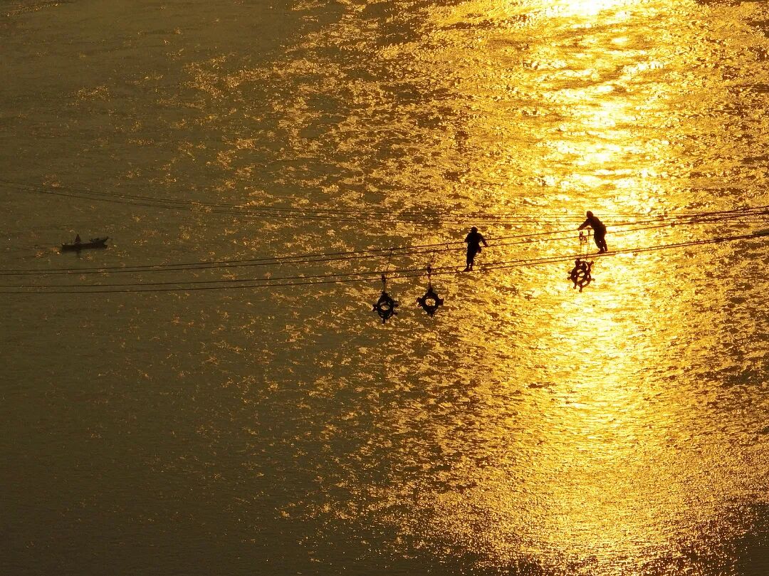 田 丰-祖国大动脉建设者-重庆市江津区-2025年.jpg