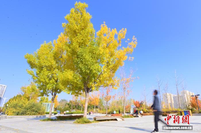 甘肃兰州秋景如画