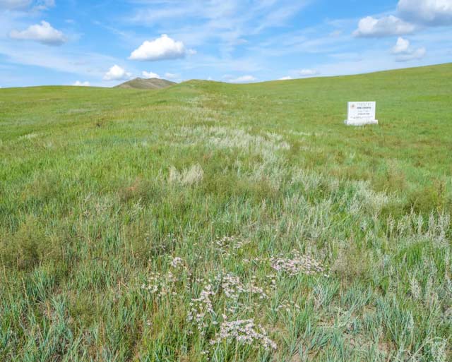 西辽河印记 | 雄壕卧野 薪火续今 西辽河印记 | 雄壕卧野 薪火续今