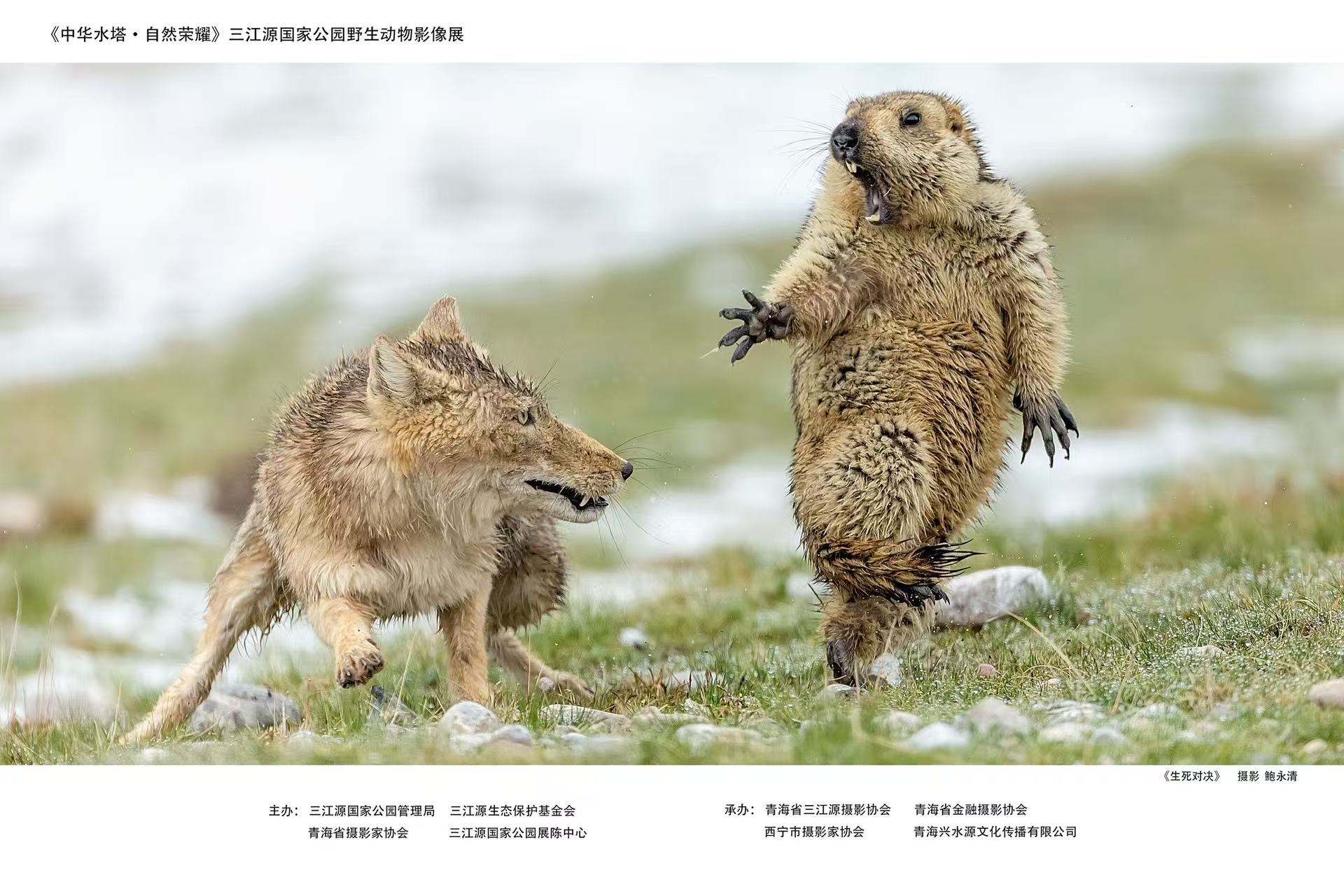 《中华水塔·自然荣耀》在古都西安获得两项殊荣