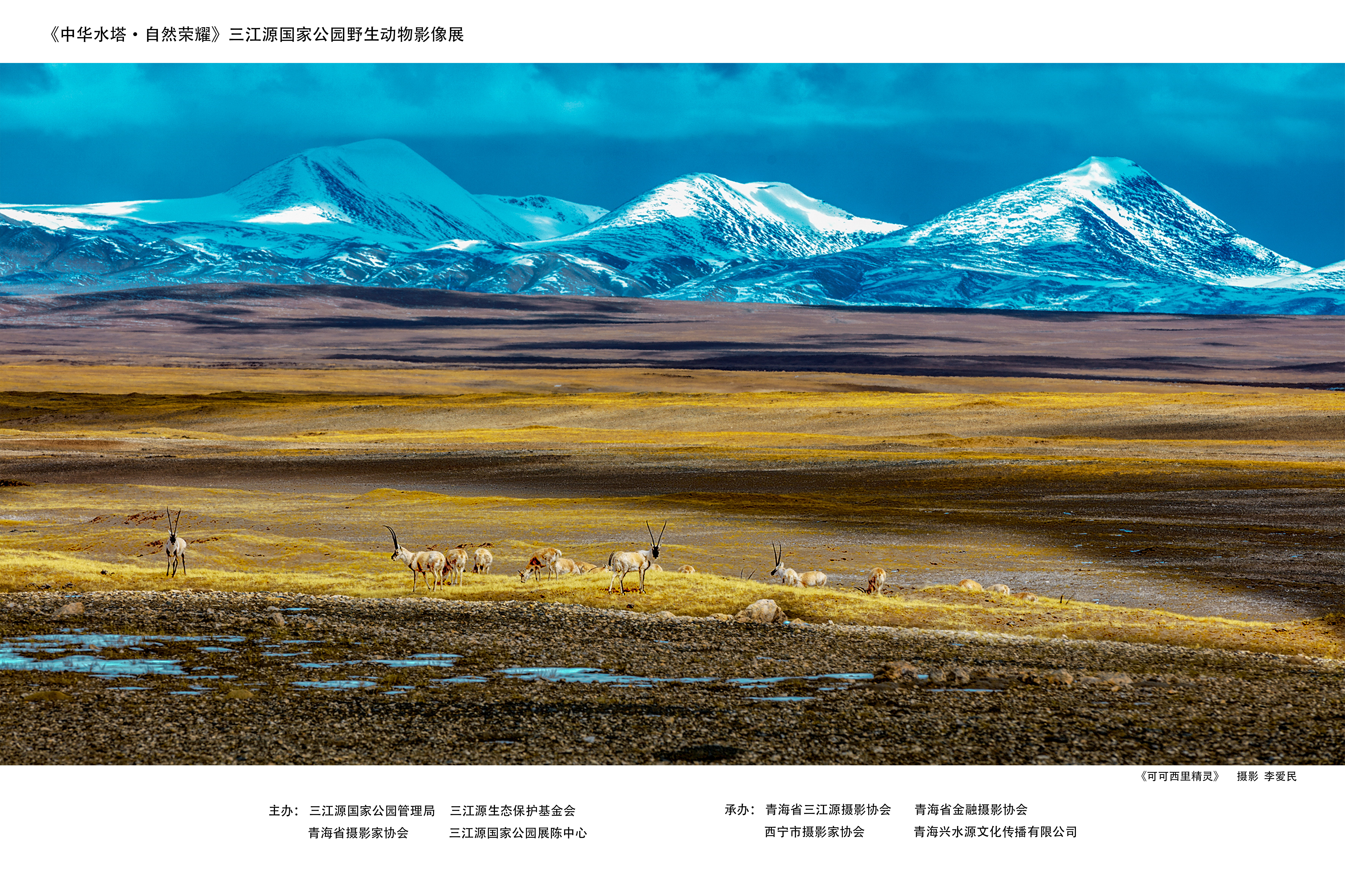 《中华水塔·自然荣耀》在古都西安获得两项殊荣