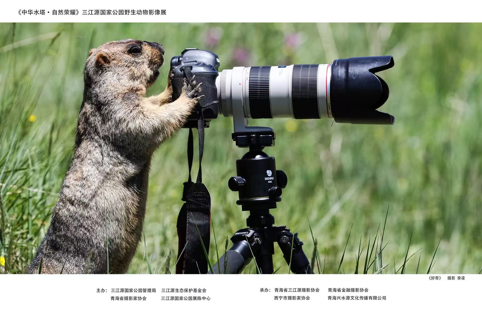 《中华水塔·自然荣耀》在古都西安获得两项殊荣