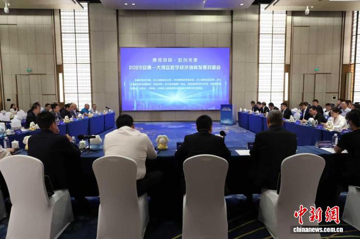 2025安康—大湾区数字经济协同发展对接会举行