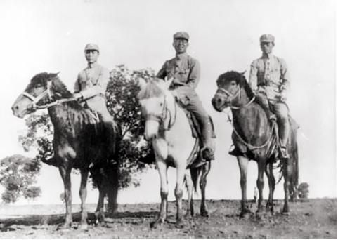 孙继业：沂蒙之花